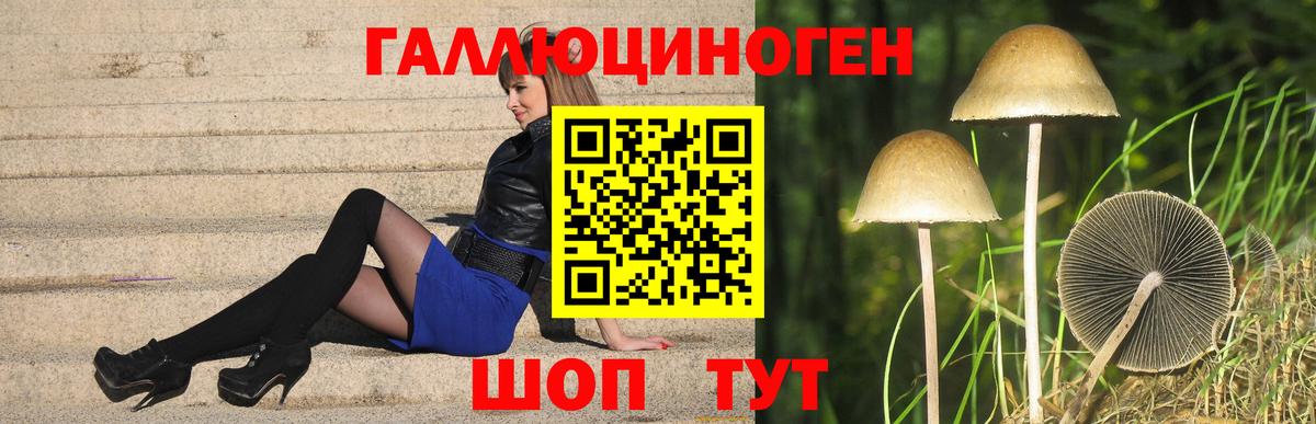 Псилоцибиновые грибы ЛСД  Вход с VPN  Псилоцибиновые грибы GOLDEN TEACHER  Новоалтайск 