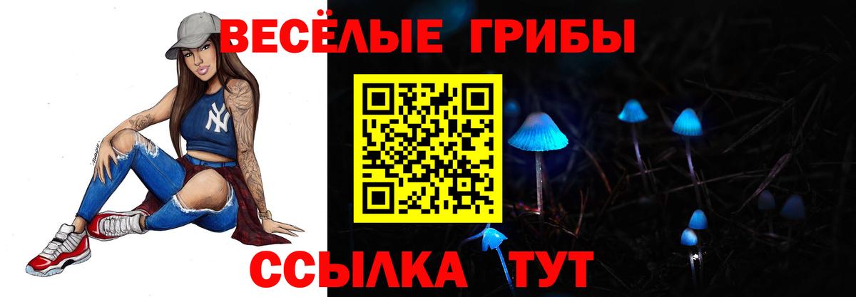 Псилоцибиновые грибы Psilocybe Новоалтайск